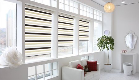 Рулонные шторы Зебра день-ночь