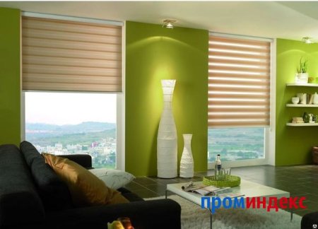 Рольшторы Зебра день ночь