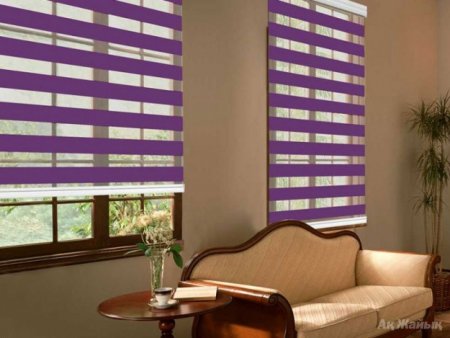 Рольшторы Зебра день ночь