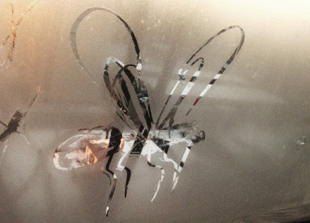 Надпись на стекле