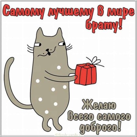 Смешные поздравления с днём рождения брату