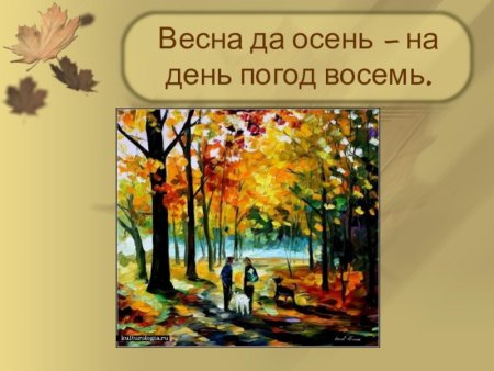 Весна да осень на Дню погод восемь