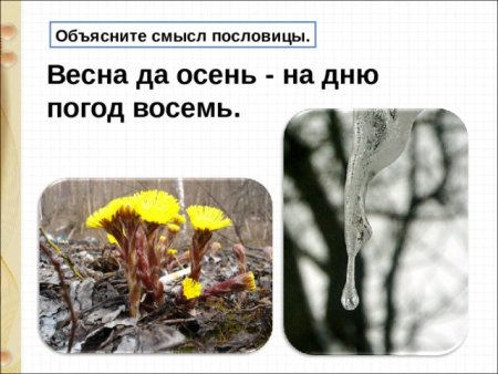 Весна да осень на Дню погод восемь