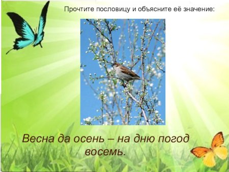 Осень на Дню погод восемь