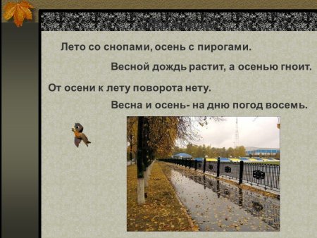 Весна да осень на Дню погод восемь