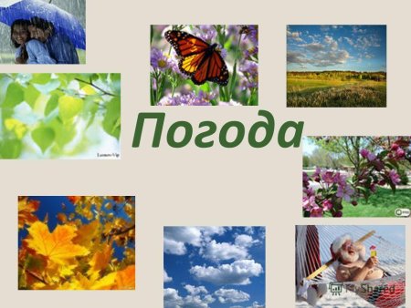Весна да осень на Дню погод восемь