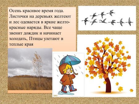 Сезонные изменения осенью