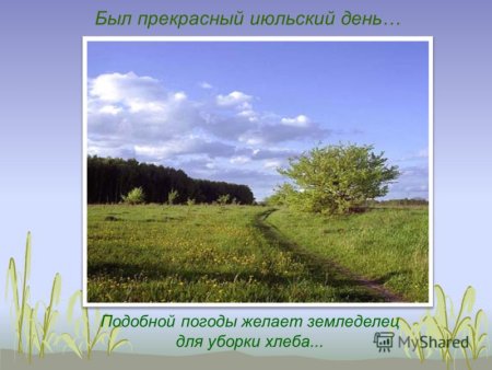 С самого раннего утра небо ясно Утренняя Заря не пылает