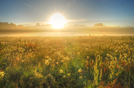 Природа в рассказе Бежин луг