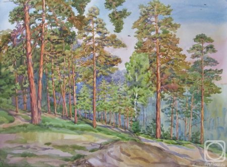 Акварельный Этюд Сосновый Бор