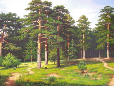 Иван Бунин Сосновый Бор