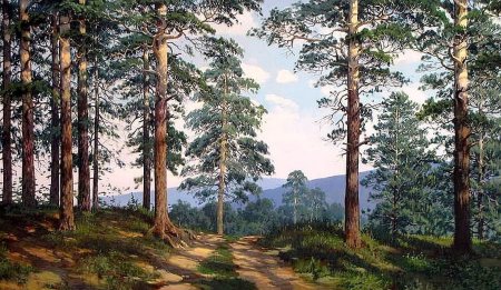 Художник Фёдоров Владимир Александрович