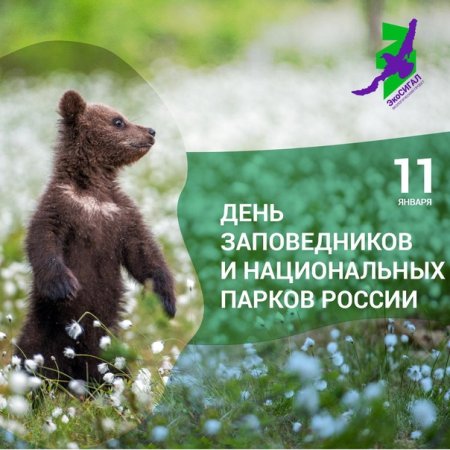 День заповедников рисунок