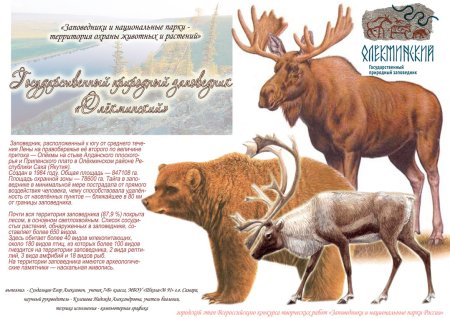 Рисунок на тему заповедник