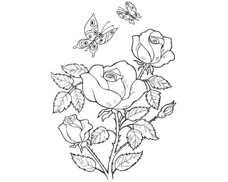 Раскраска для выжигания цветы