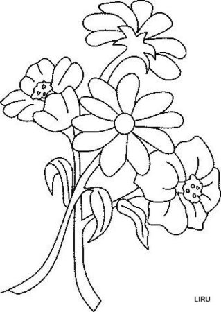 Трафарет букет цветов для раскрашивания