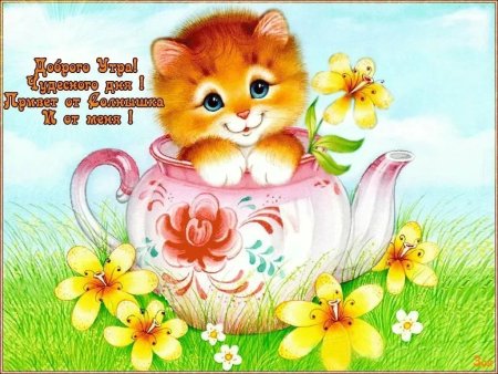 С добрым утром чудесного дня