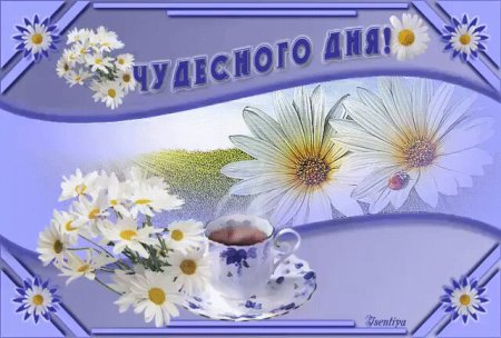 Чудесного дня