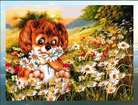 Доброго летнего вечера