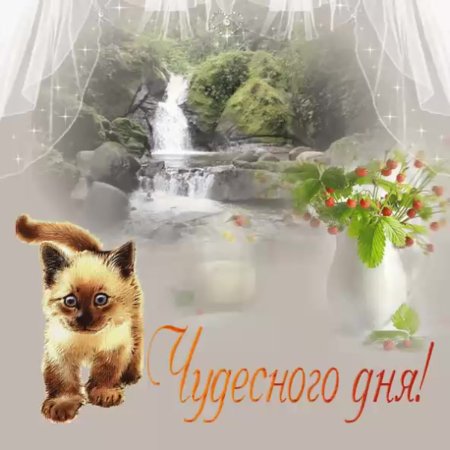 Мерцающие открытки добрый день