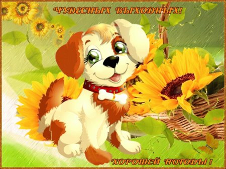 Чудесных выходных