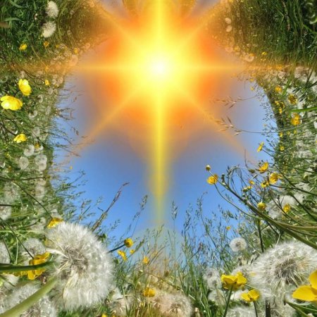 День летнего солнцестояния