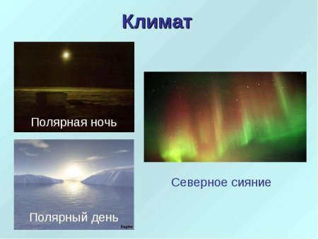 Полярные дни и ночи бывают