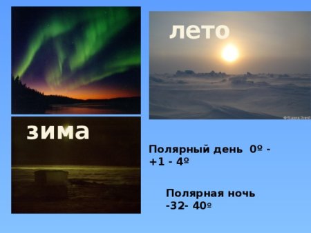 Полярные дни и ночи бывают