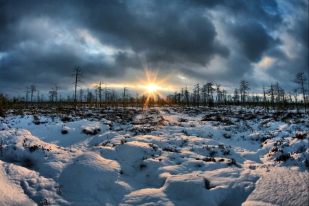 Полярный день в тундре