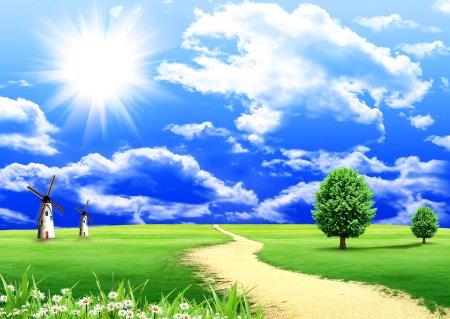 Сказочное поле