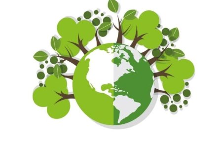 Время зелёные эко