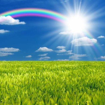 Летняя Радуга