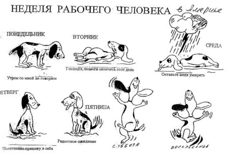 Карикатура рабочая неделя