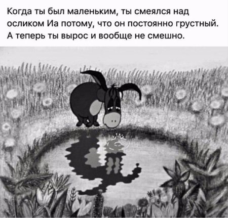 Ослик ИА прикол