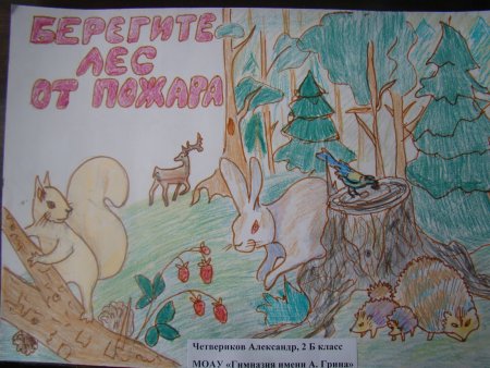 День леса рисунки