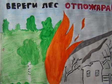 Рисунок на день леса на конкурс