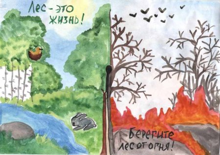Берегите лес от пожара рисунки