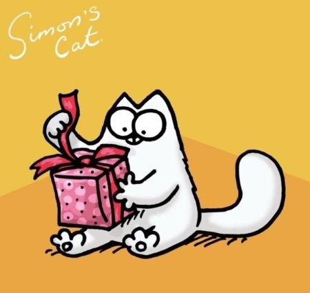 Кот Саймон с днем рождения