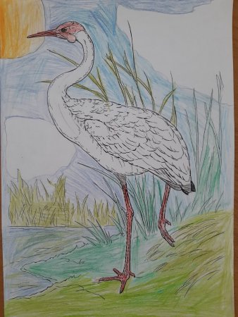 День журавля детский рисунок