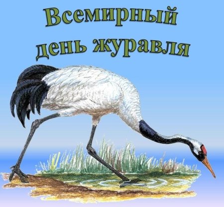 Всемирный день журавля 13 сентября