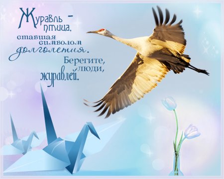 Всемирный день журавля