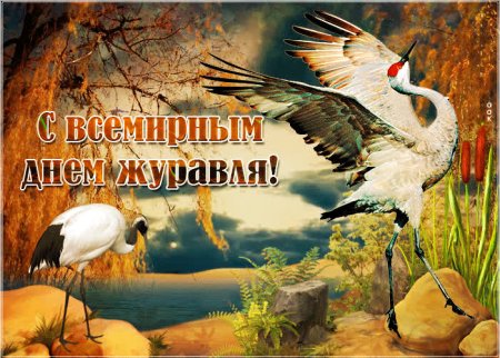 День журавля
