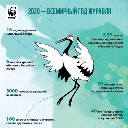 Журавли для вырезания