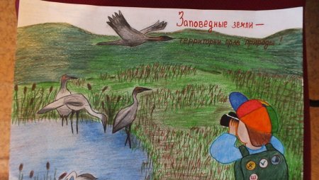 Плакат охрана животных