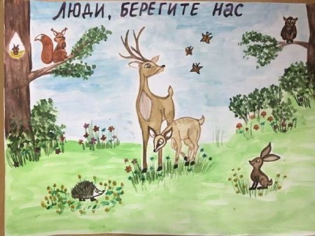 Защита природы и животных