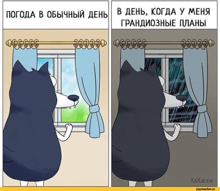 Обычный день смешные картинки