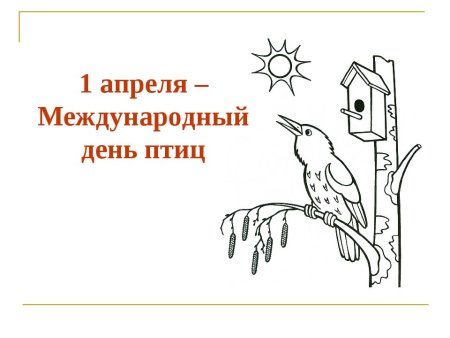 Материал ко Дню птиц