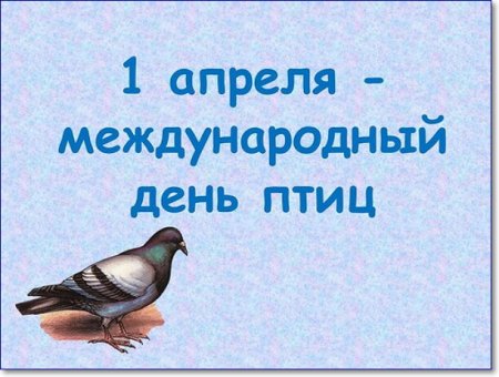 С днем птиц открытки