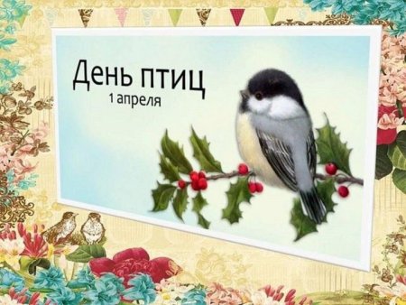 Международный день птиц плакат