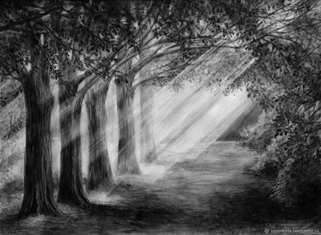 Пейзаж соусом